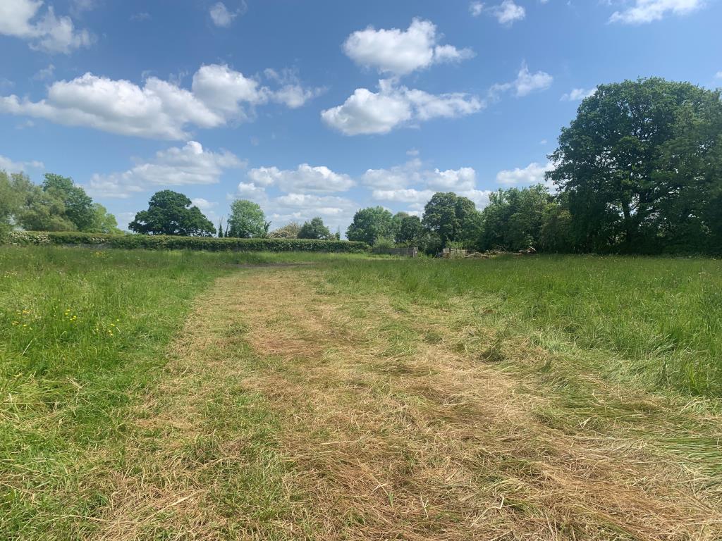 Lot: 55 - LAND WITH PLANNING FOR DAY ROOM, STABLES, TACK ROOM, TRAVELLER PITCHES AND TOURER PITCHES - General view of the pasture land